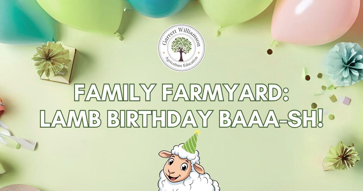 Campaign cover image for Family Farmyard - Lamb Birthday Baaa-sh!