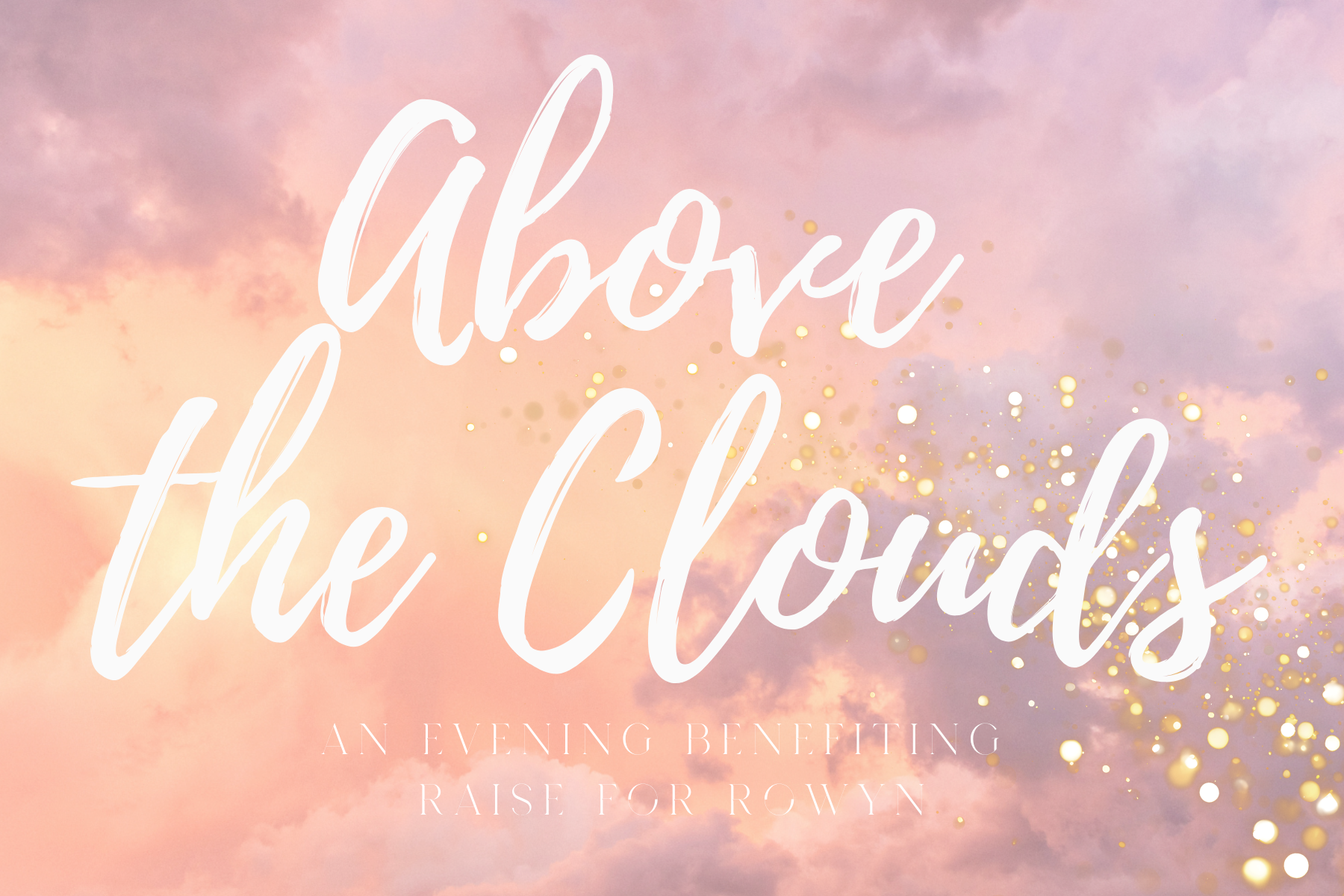 Campaign cover image for Above the Clouds 2027 Gala