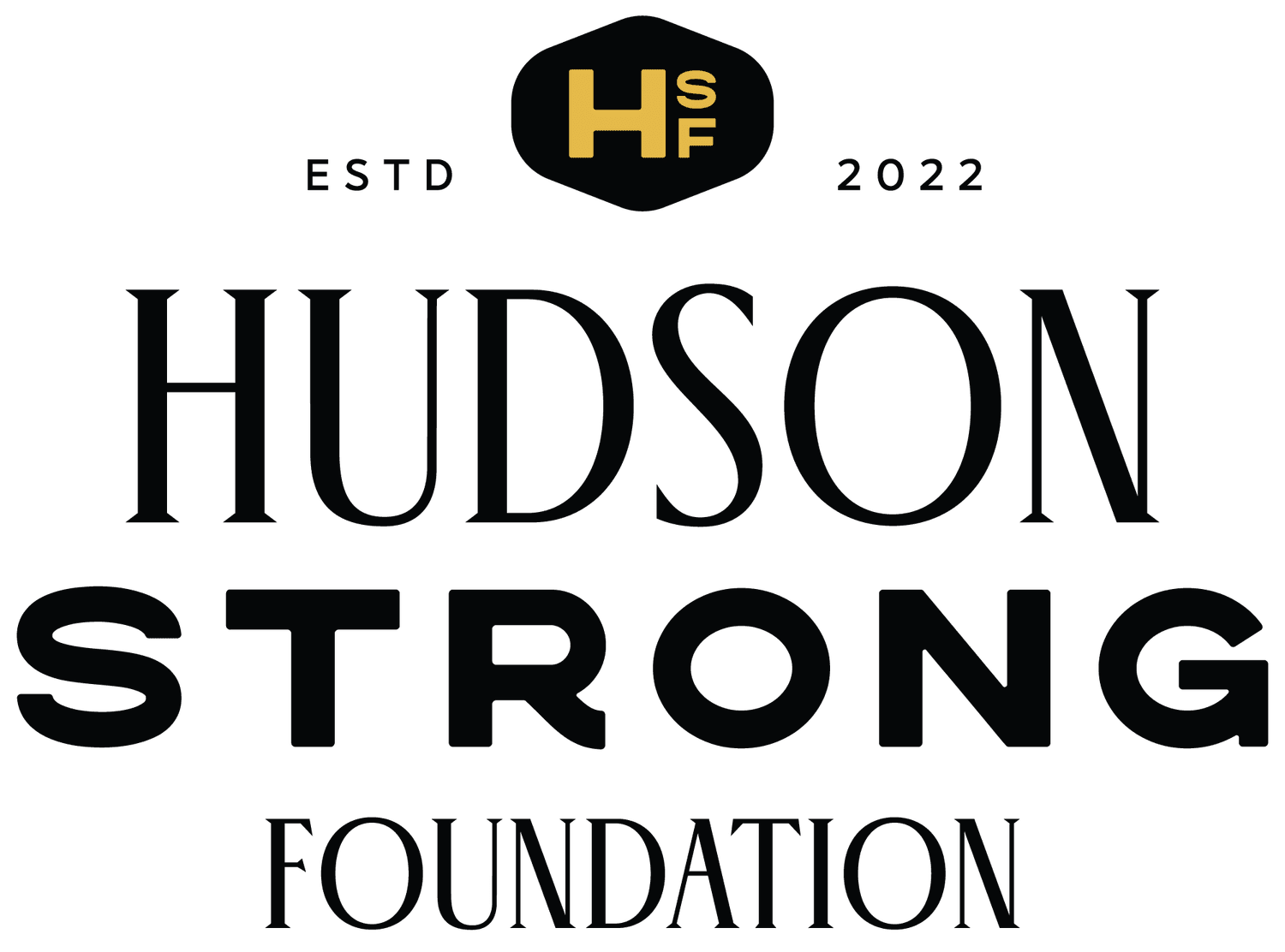 Campaign cover image for An Enchanted Evening - 2026 Hudson Strong Foundation Gala