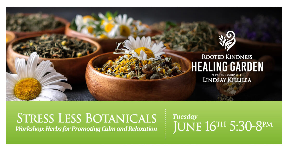 Campaign cover image for Rooted Kindness Workshop: Stress Less Botanicals