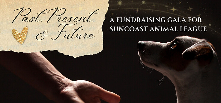 Campaign cover image for Past, Present, and Future Gala