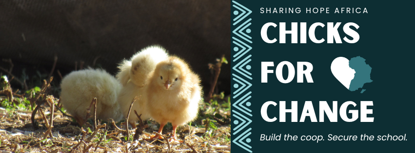 Campaign cover image for Chicks For Change: Build the Coop. Secure the School.