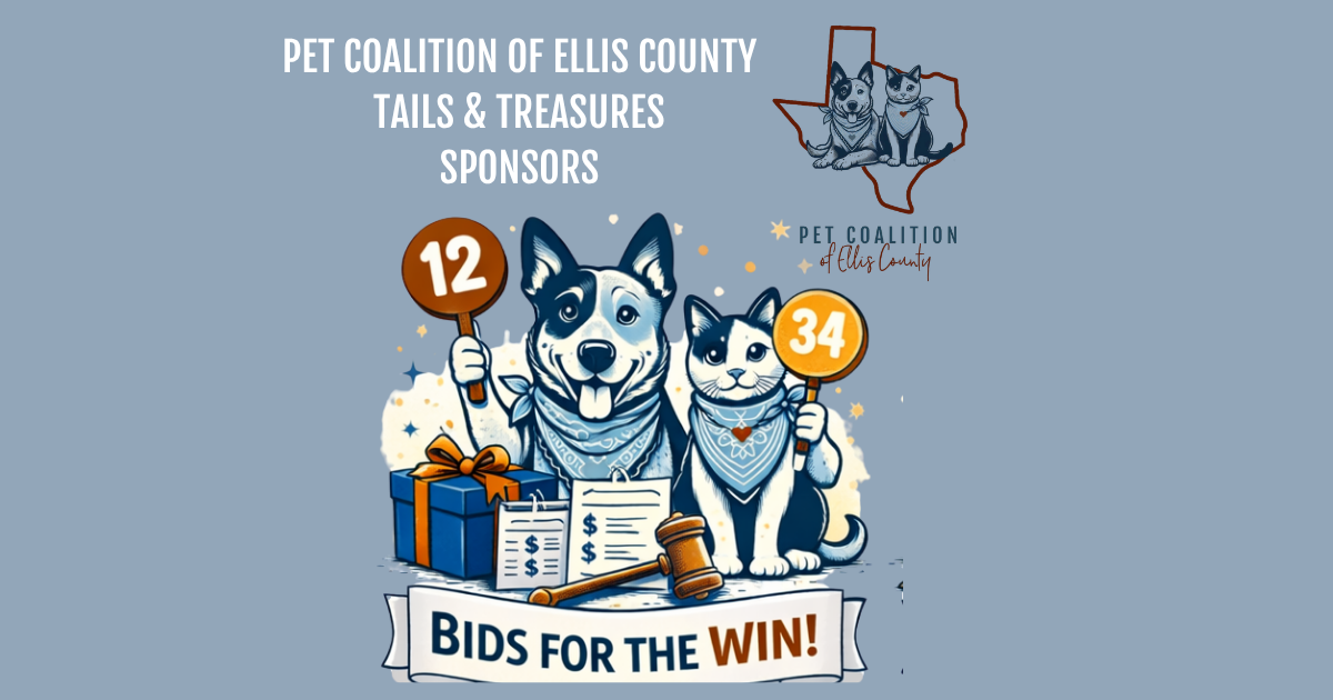 Campaign cover for 2026-Tails & Treasures-Sponsorship