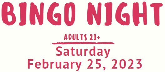Campaign cover image for Bingo Night!