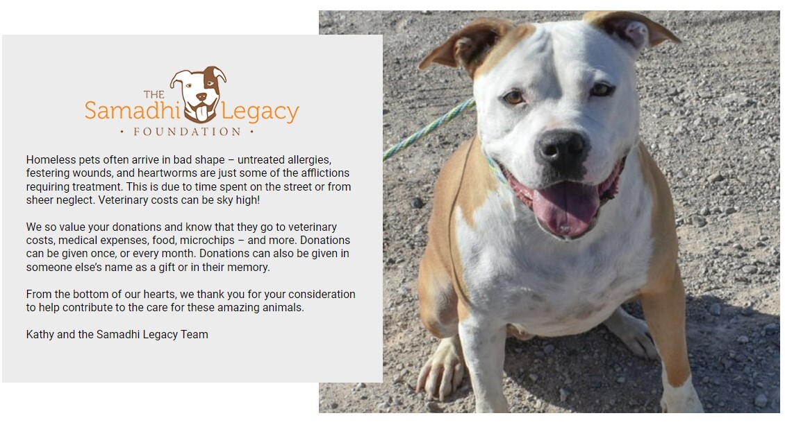 Campaign cover image for The Samadhi Legacy Foundation