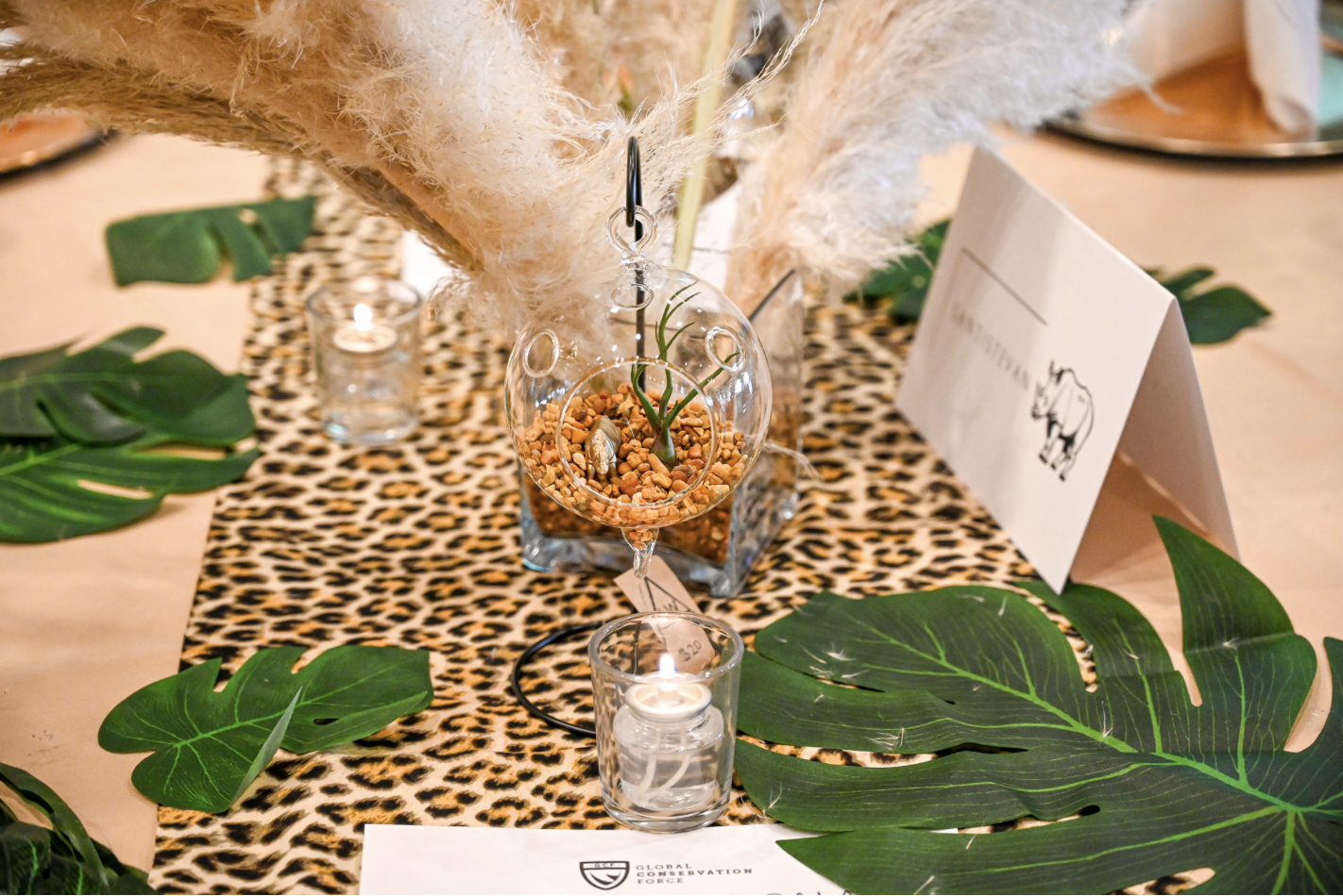 Campaign cover image for 10th Annual Wildlife Gala