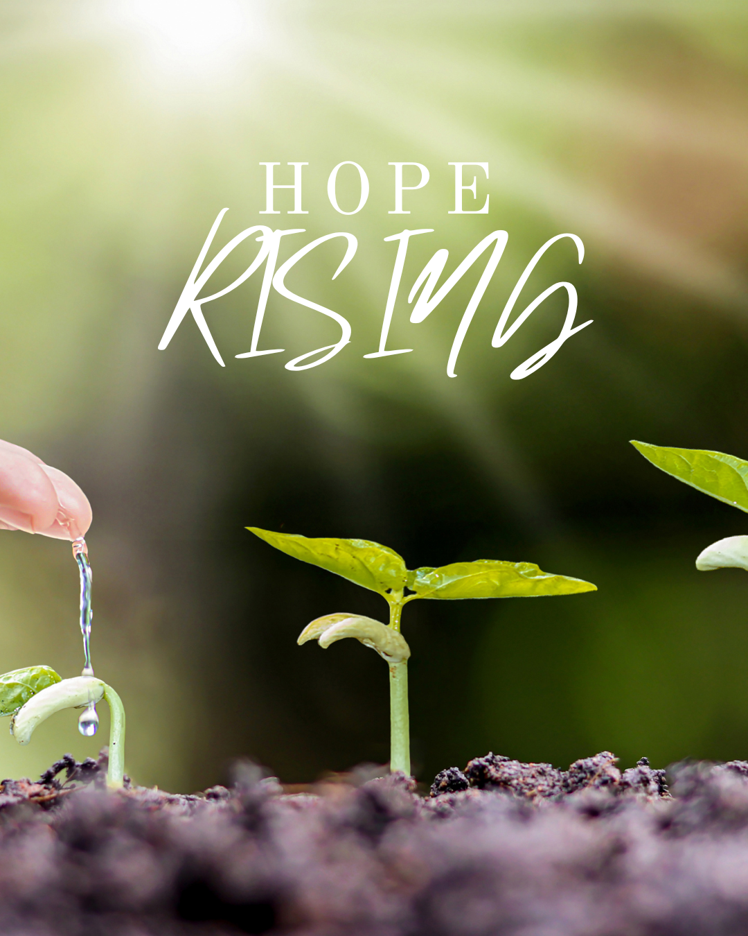 Campaign cover image for Hope Rising