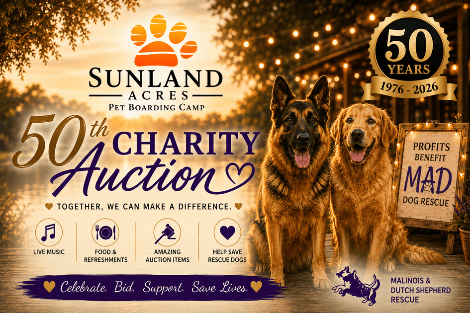Campaign cover image for Charity Auction For MAD Rescue