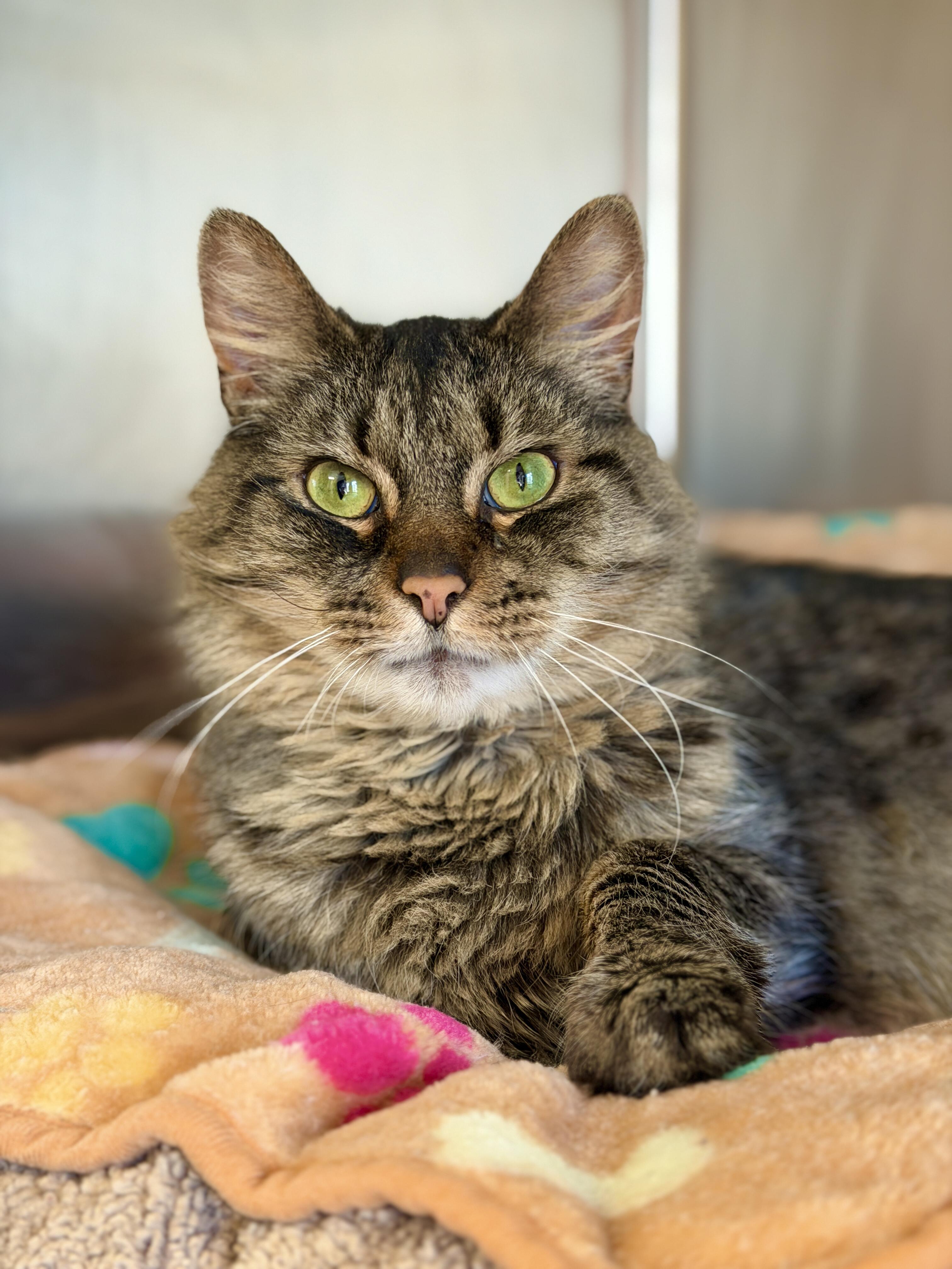 Campaign cover for Donate to the Little Guild