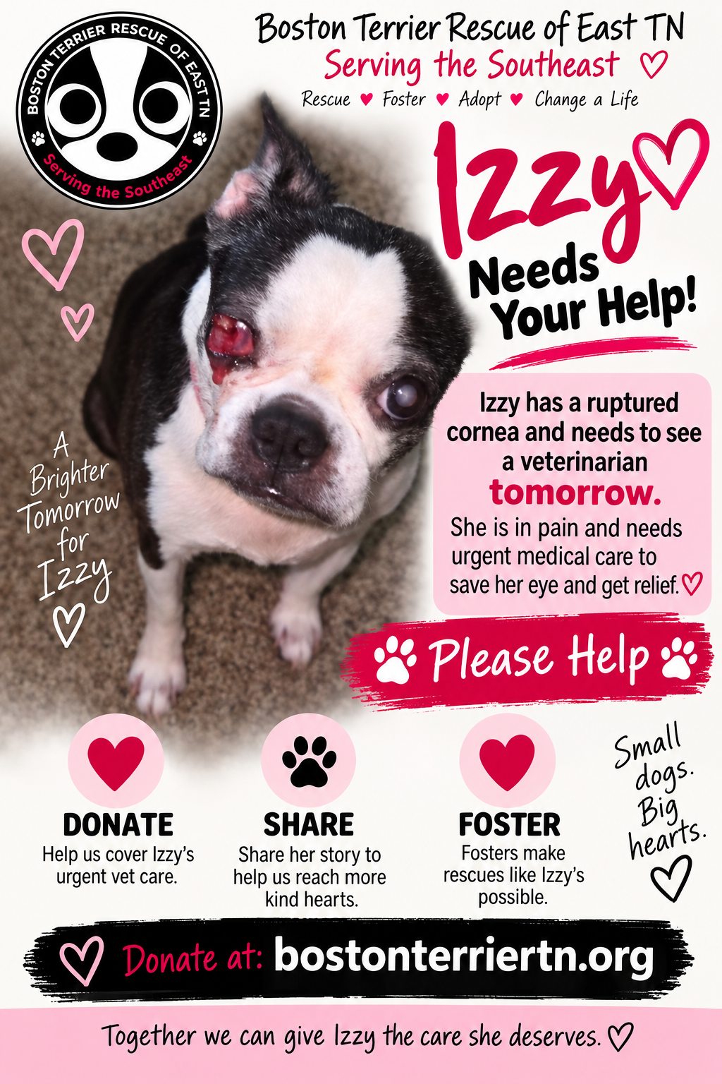Campaign cover for 💙 See the Hope: Izzy’s Emergency Eye Fund