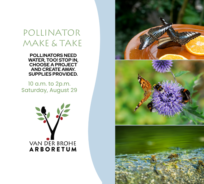Campaign cover image for Pollinator Make & Take