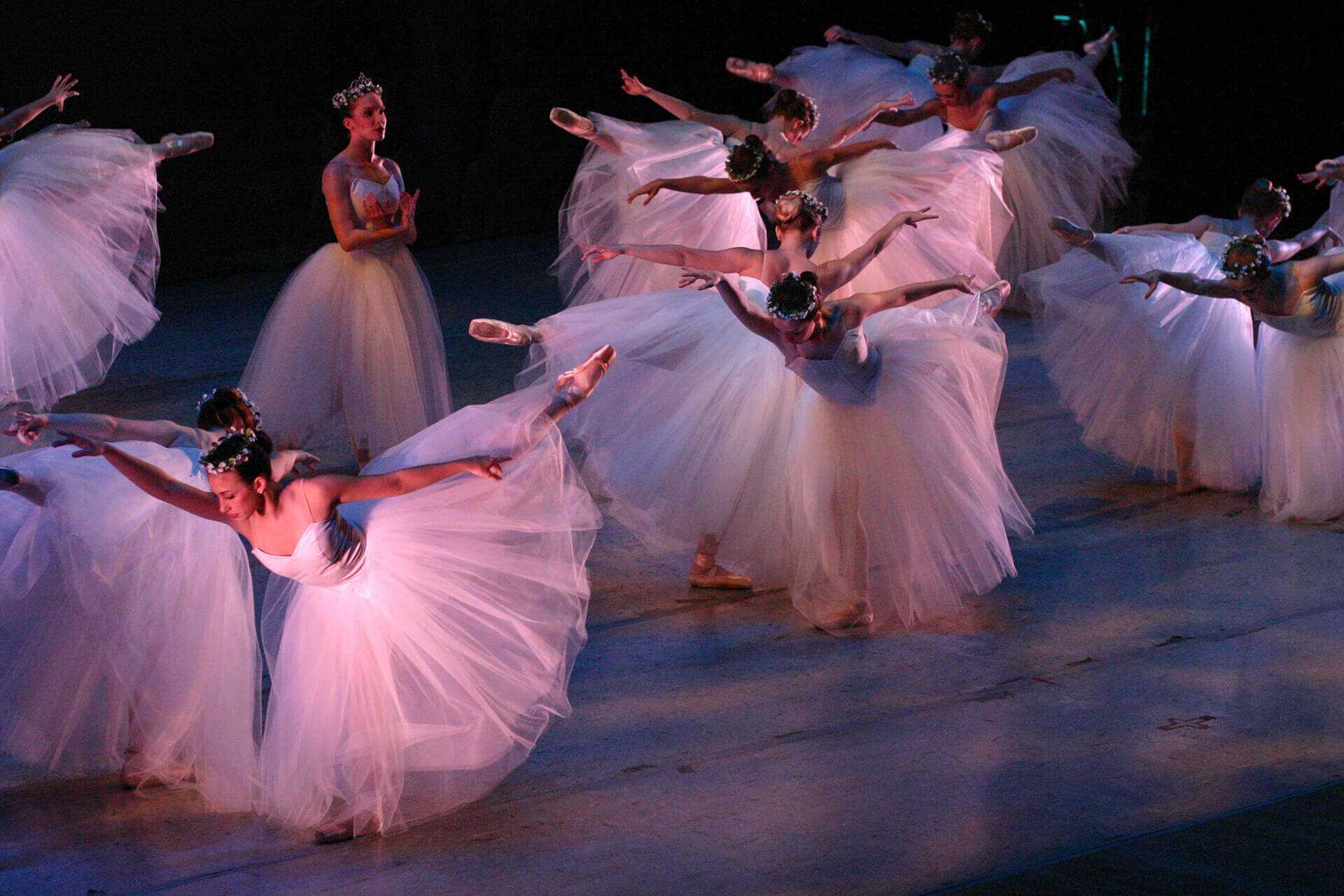 Campaign cover image for Patrons Circle