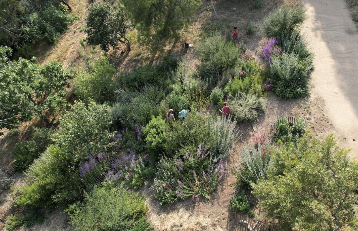 Campaign cover image for L.A. FORUM & THE ASTER PRESENT: