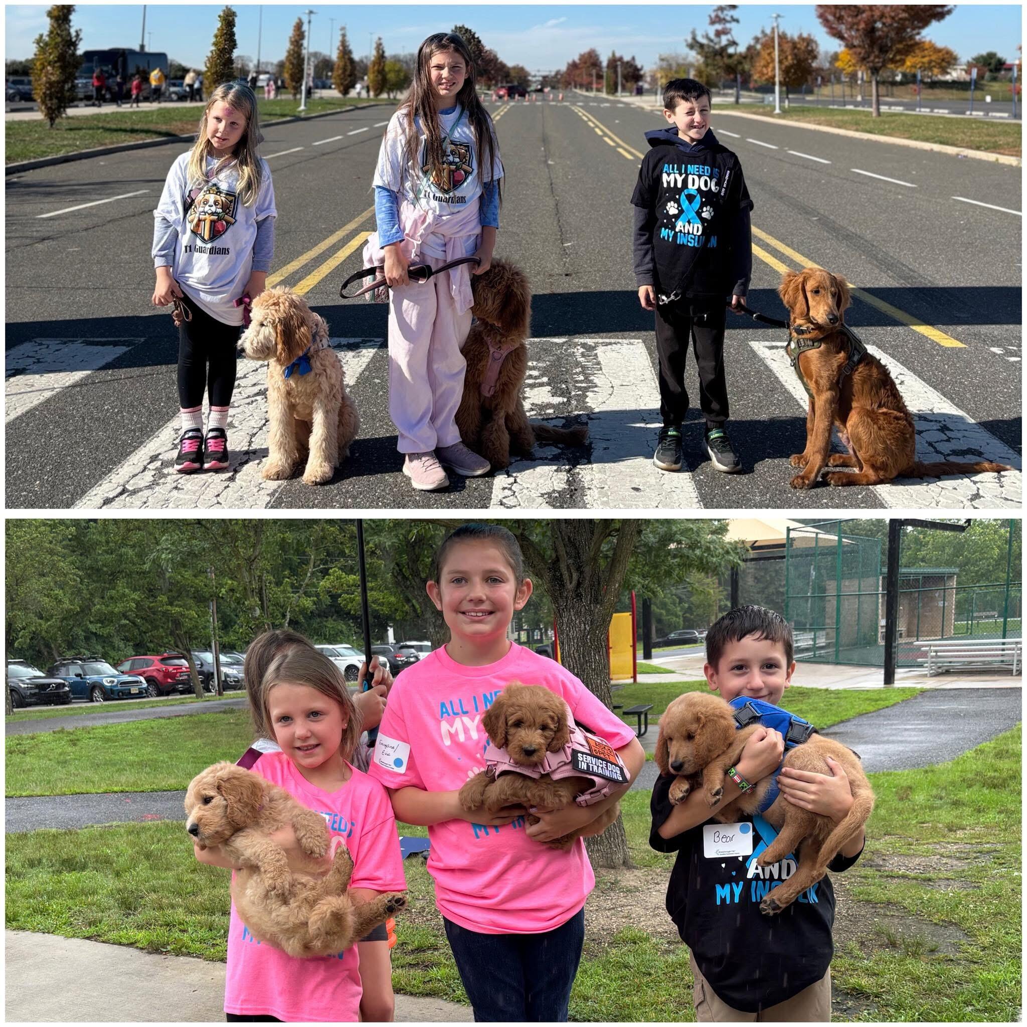 Campaign cover for T1 Guardians Donation