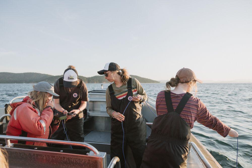 Campaign cover image for Giving Tuesday - Data for a Living Ocean