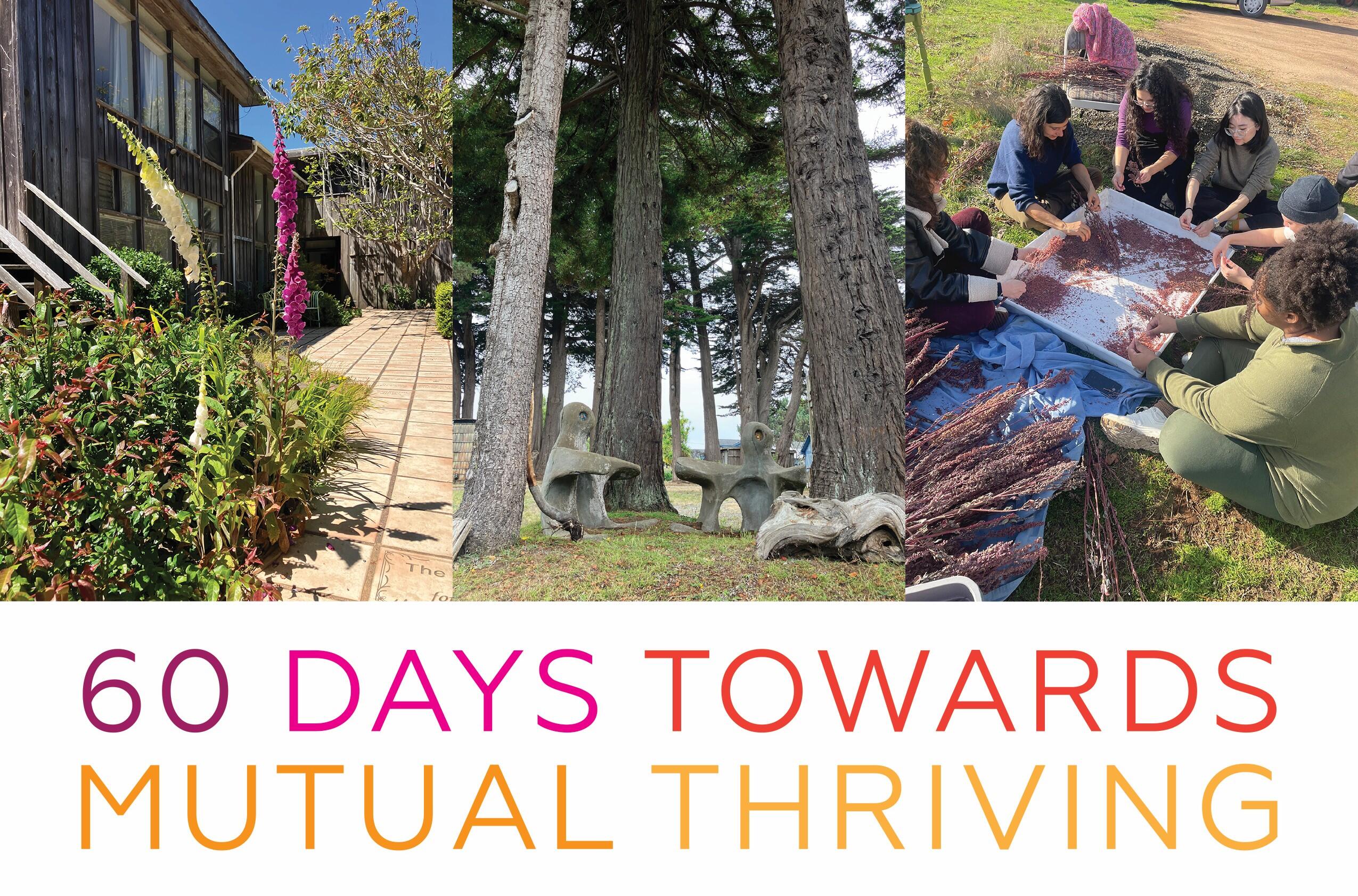 Campaign cover image for 2025 Summer Fundraiser