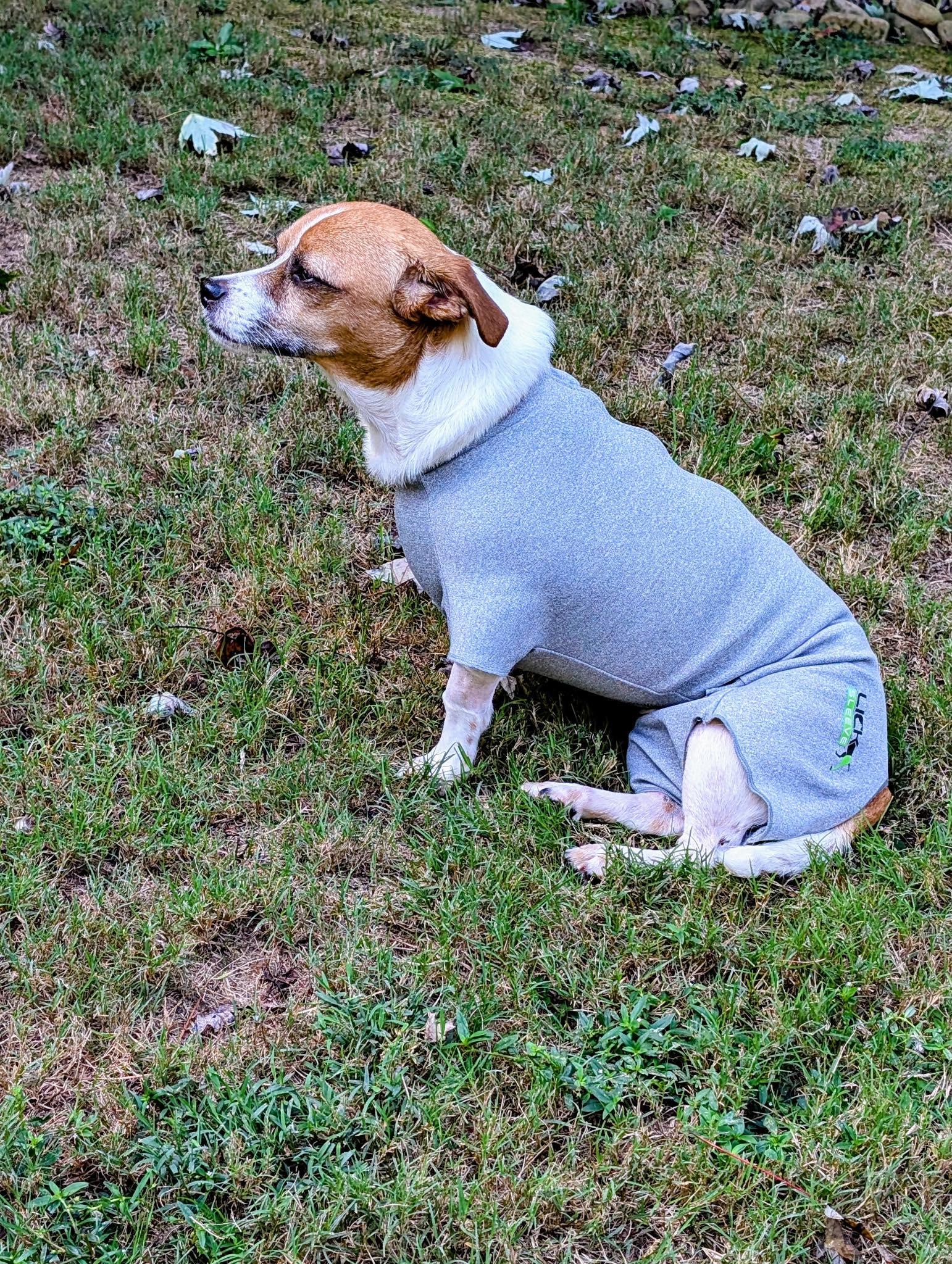 Campaign cover image for 🚒 Emergency Medical Expenses for Intake! 🩺