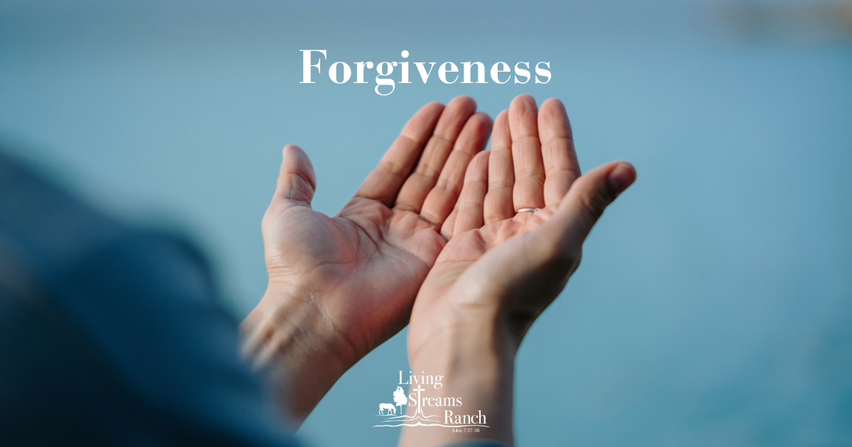 Campaign cover image for Forgiveness Retreat (September 12, 2026)