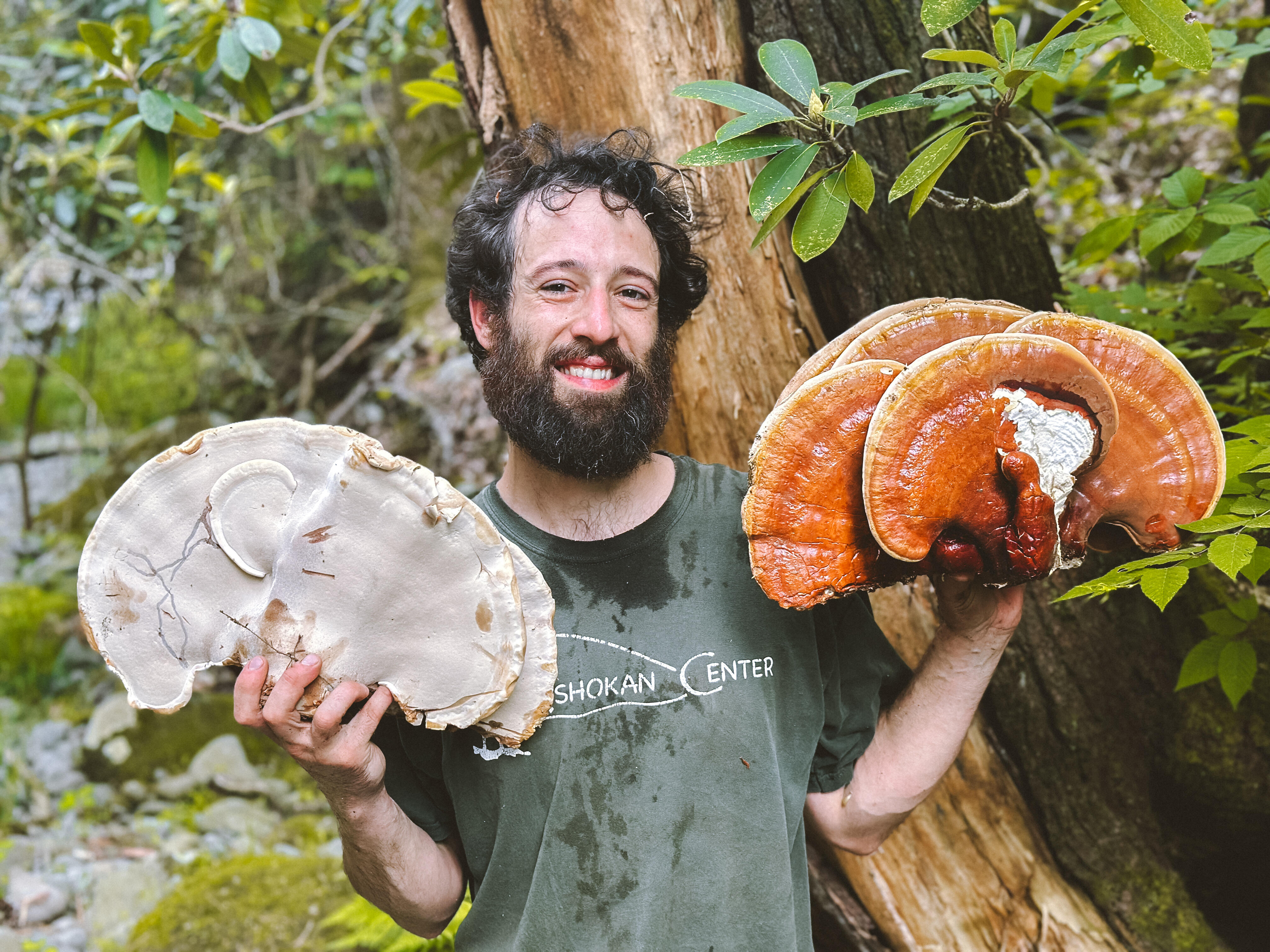 Campaign cover image for Forest and Fungi Ecology Walk: Identification and Documentation