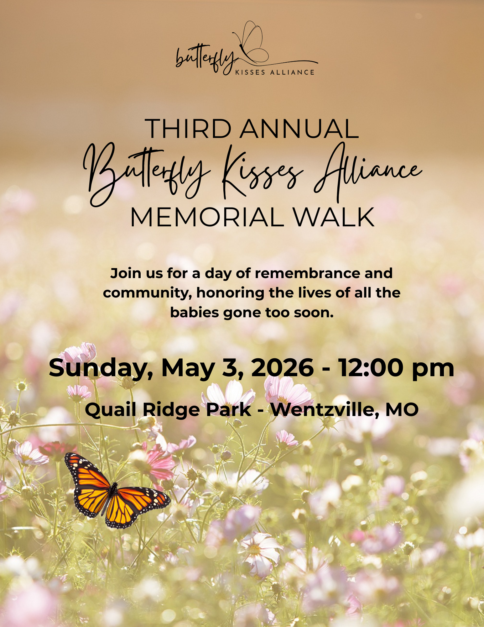 Campaign cover image for 2026 Butterfly Memorial Walk