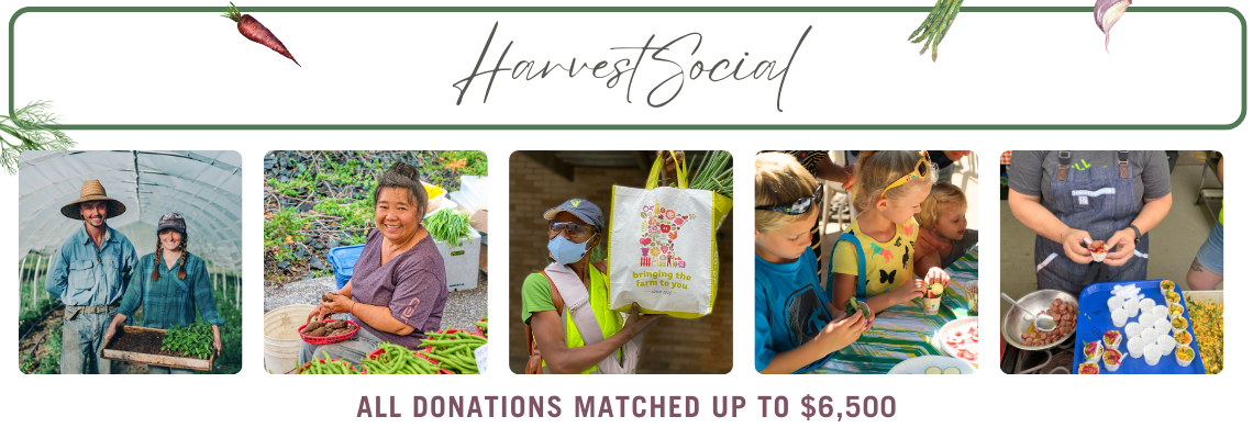 Campaign cover image for Harvest Social 2025
