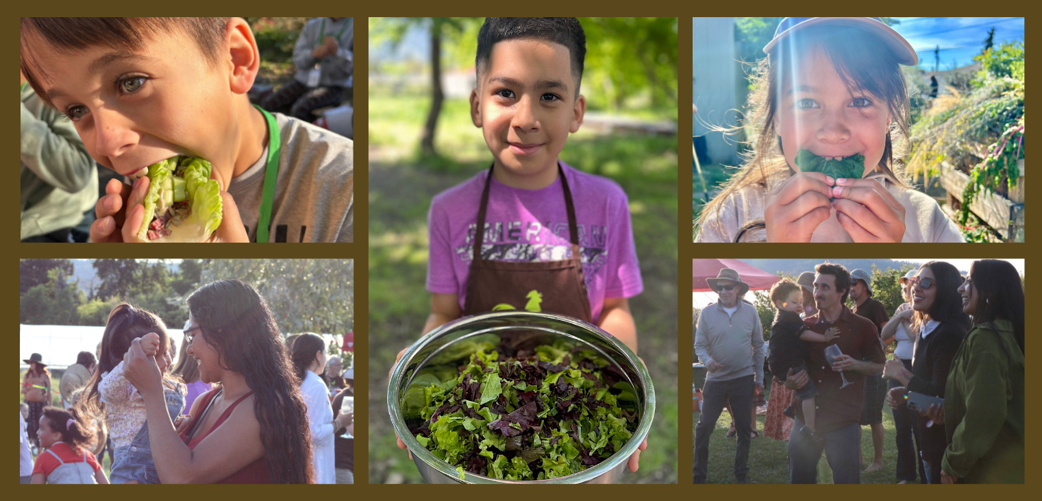 Campaign cover image for Turnip the Beet '26!