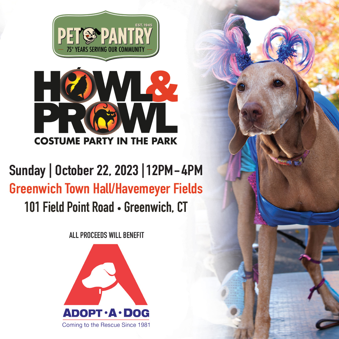 Campaign cover image for Howl & Prowl