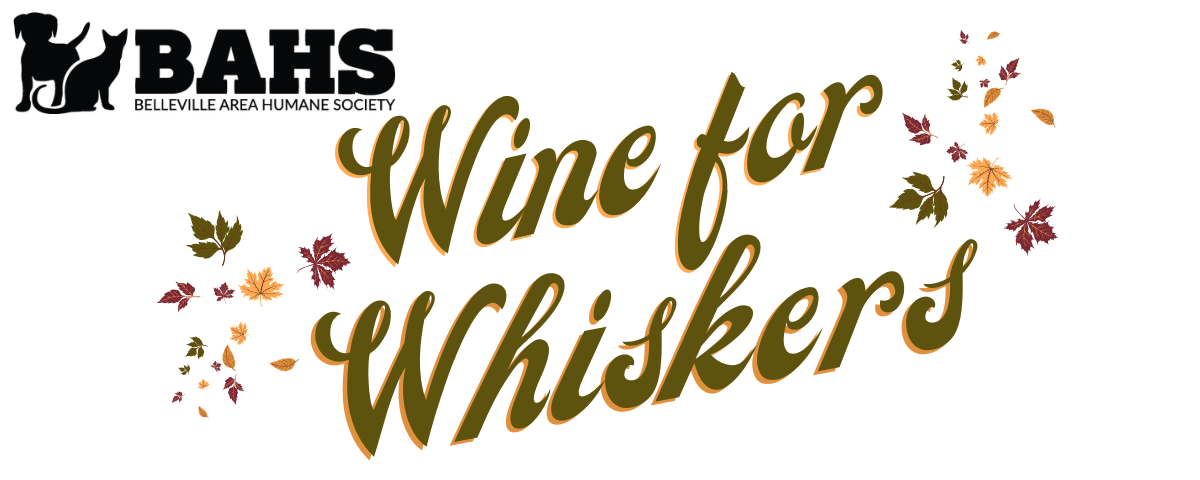 Campaign cover image for Wine for Whiskers 2026