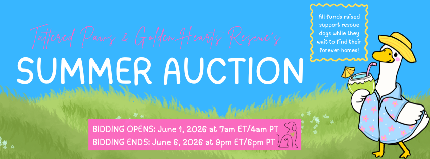 Campaign cover image for 2026 Summer Auction