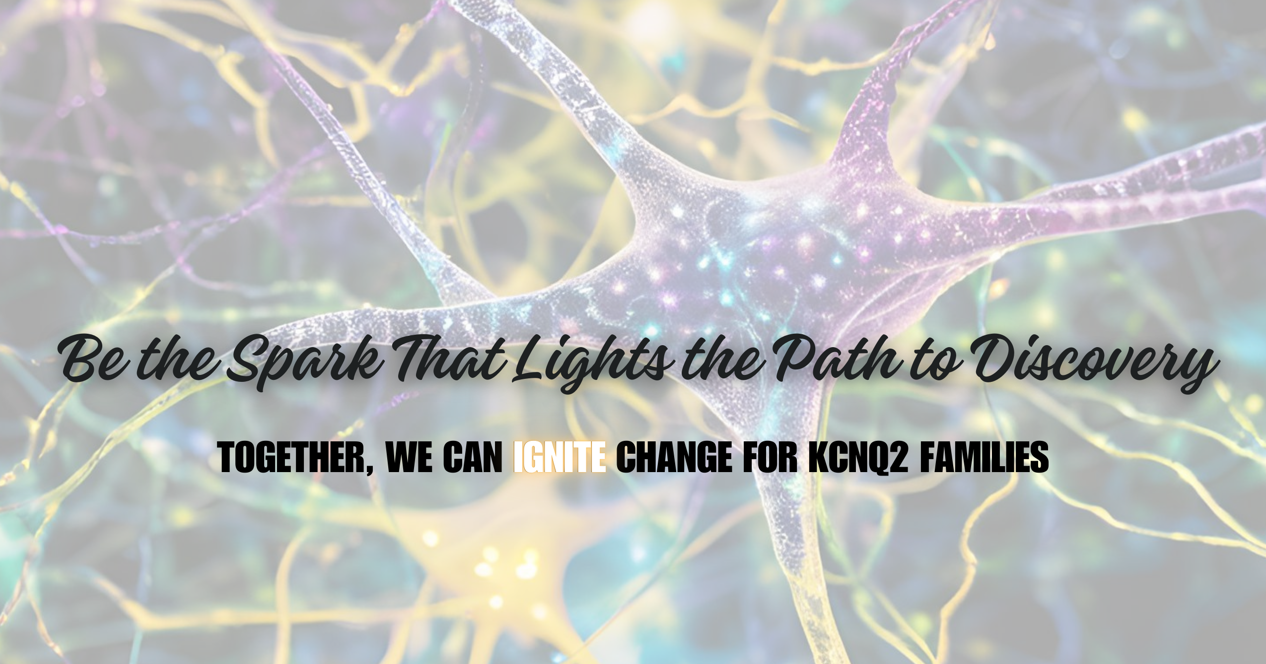 Campaign cover image for ✨ Be the Spark That Lights the Path to Discovery