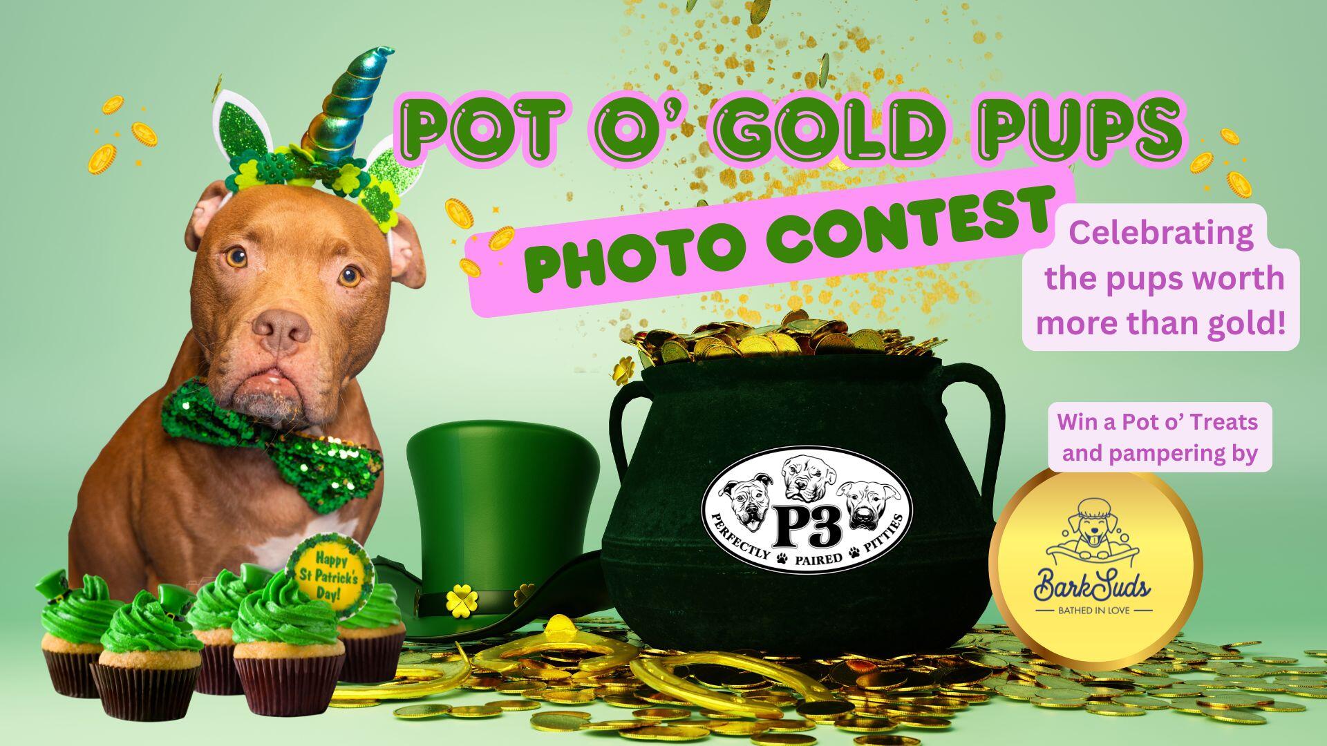 Campaign cover image for Pot o' Gold Pups