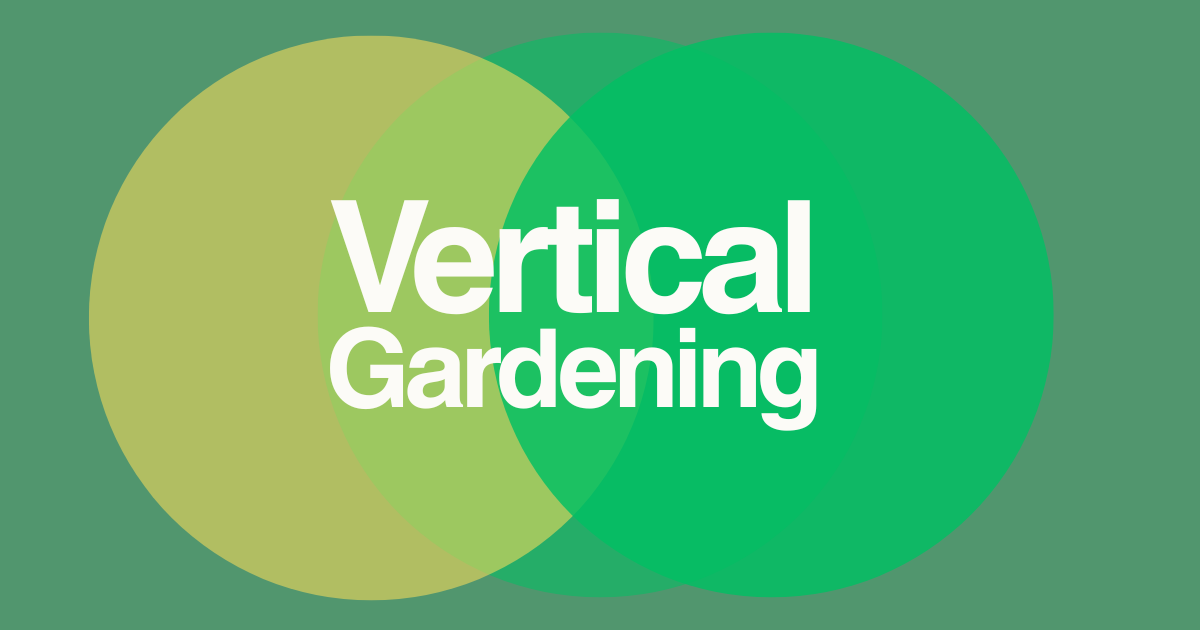 Campaign cover image for Project Nicaragua: Vertical Gardening Initiative