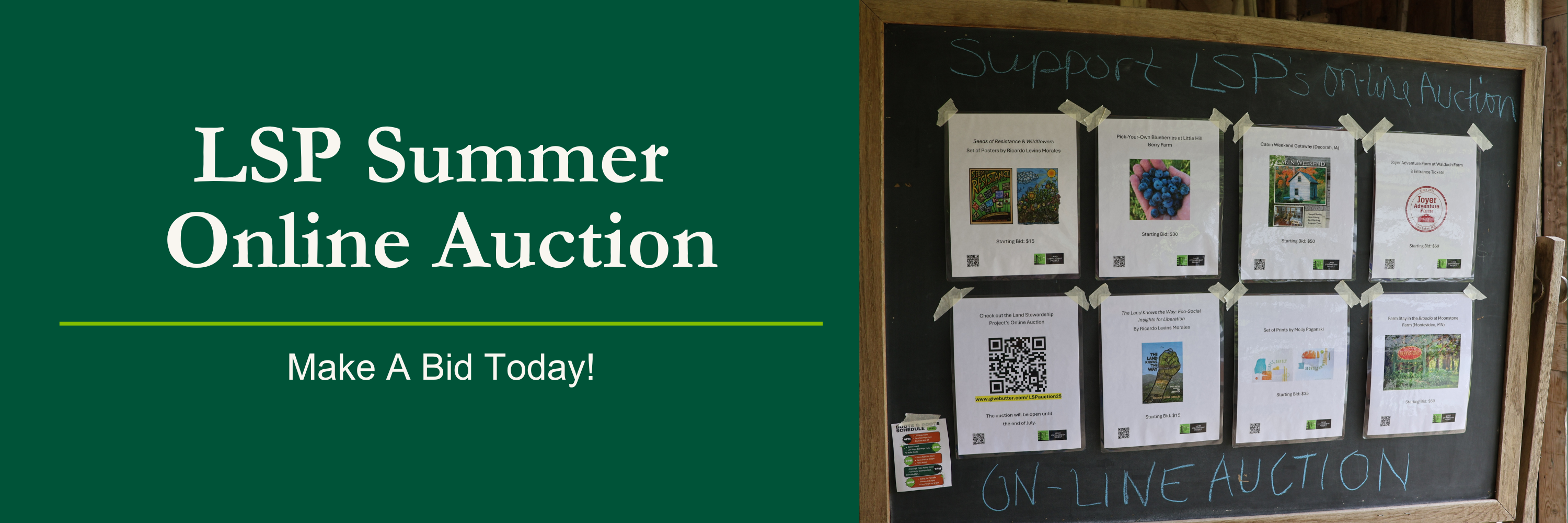 Campaign cover image for LSP Summer Auction