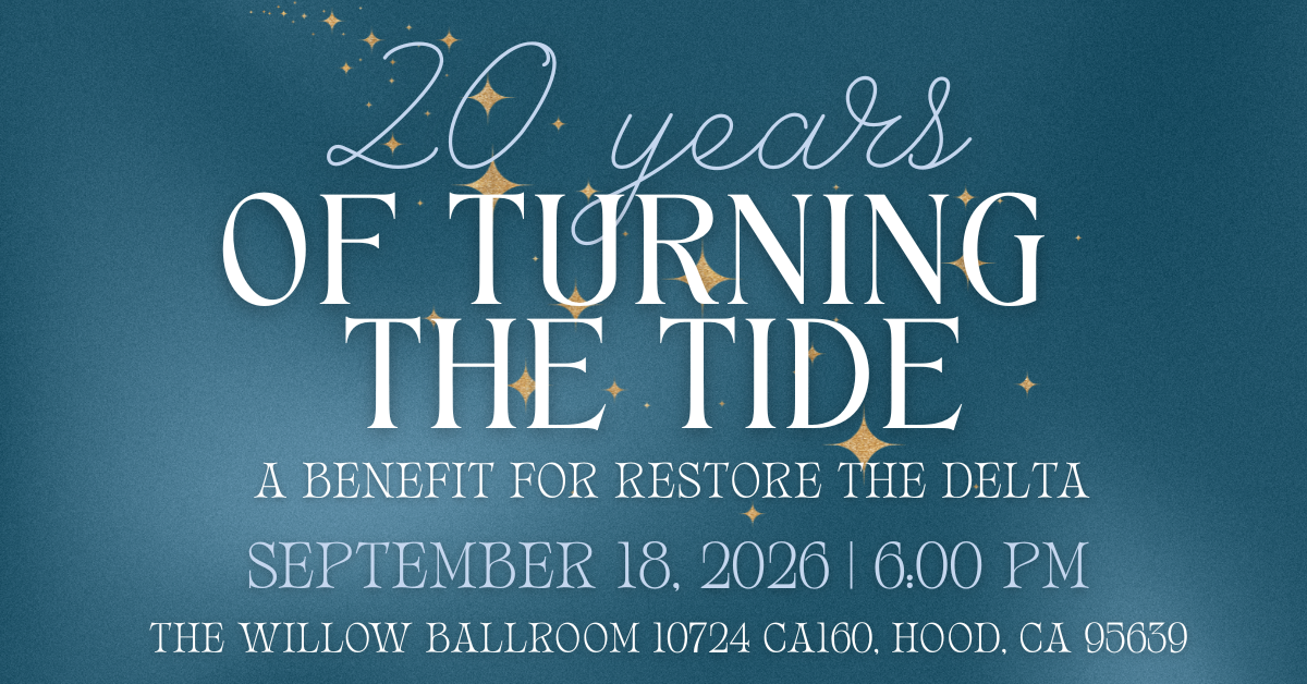 Campaign cover image for 20 Years of Turning the Tide: A Benefit for Restore the Delta