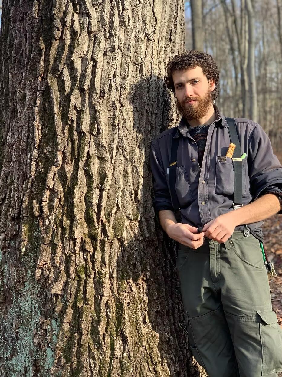 Campaign cover image for Tree ID Tour and Woodlore of the Catskills