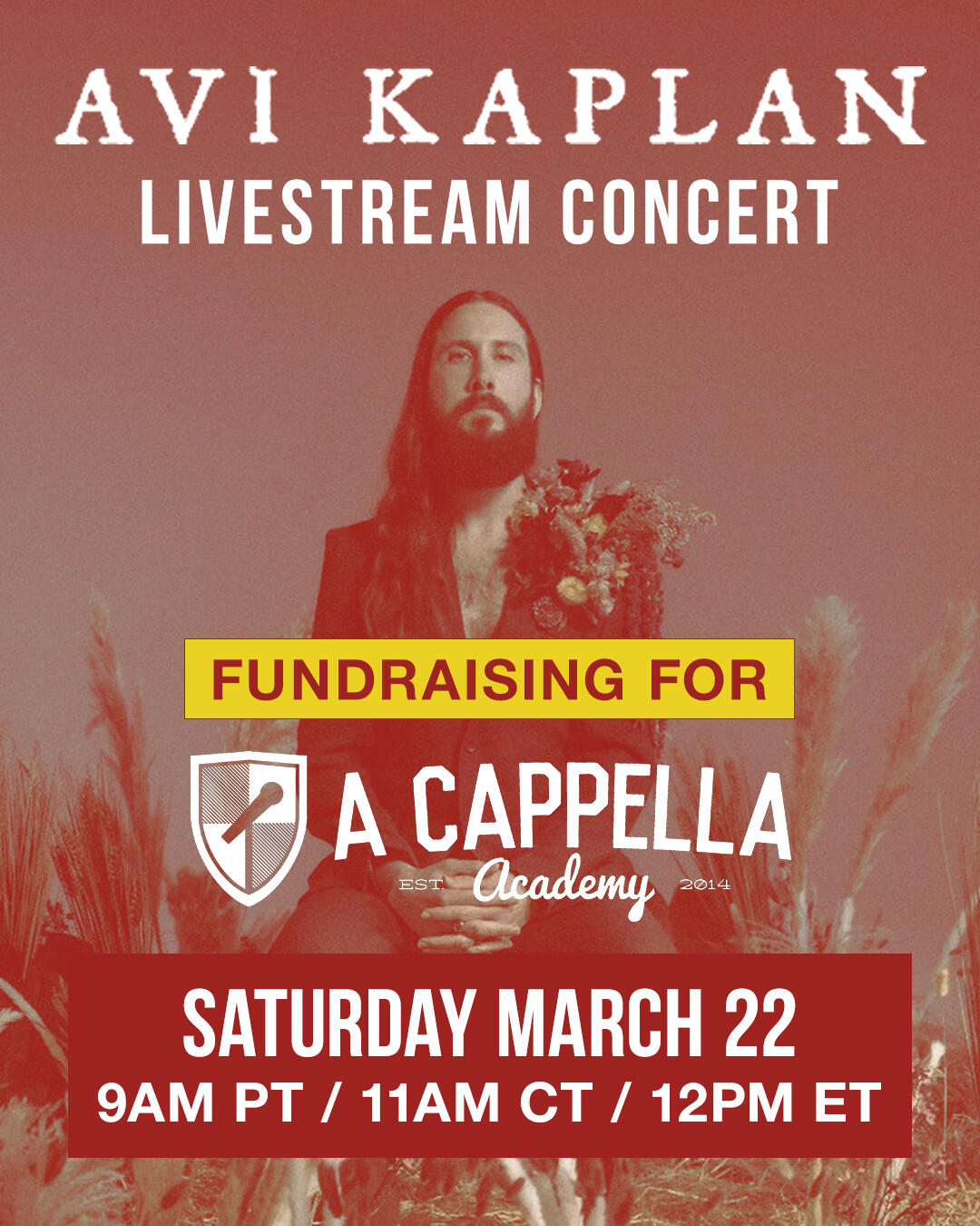 Campaign cover image for Avi Kaplan livestream CONCERT + Q&A Fundraiser