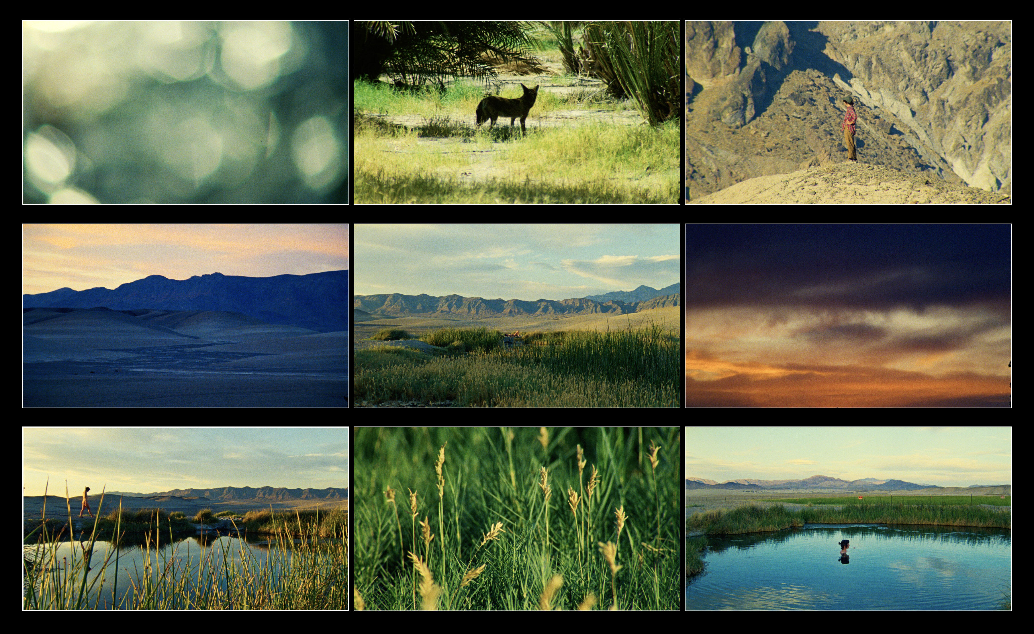 Campaign cover for Lorehole Documentary Film — Friends & Family Donations