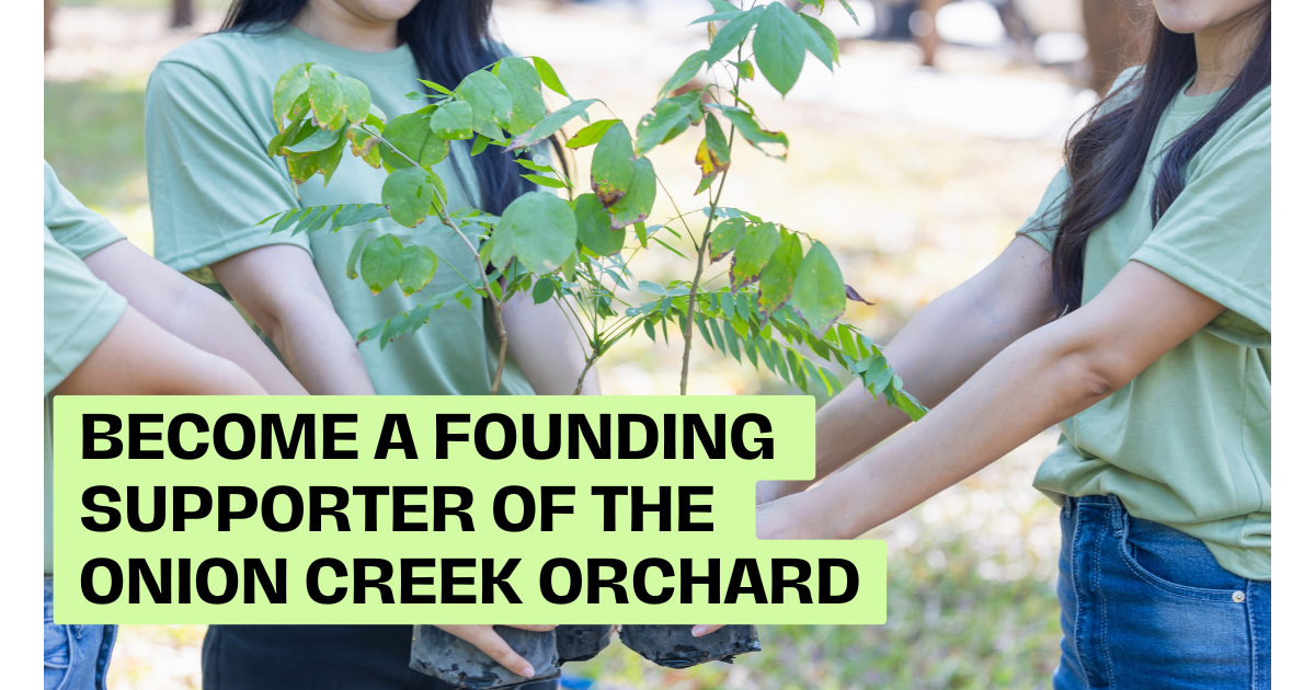 Campaign cover image for Help Plant the First Trees
