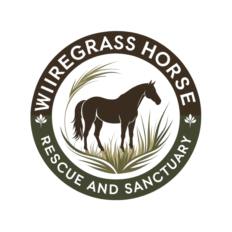 Campaign cover for Morgan Horses-Initial Intake