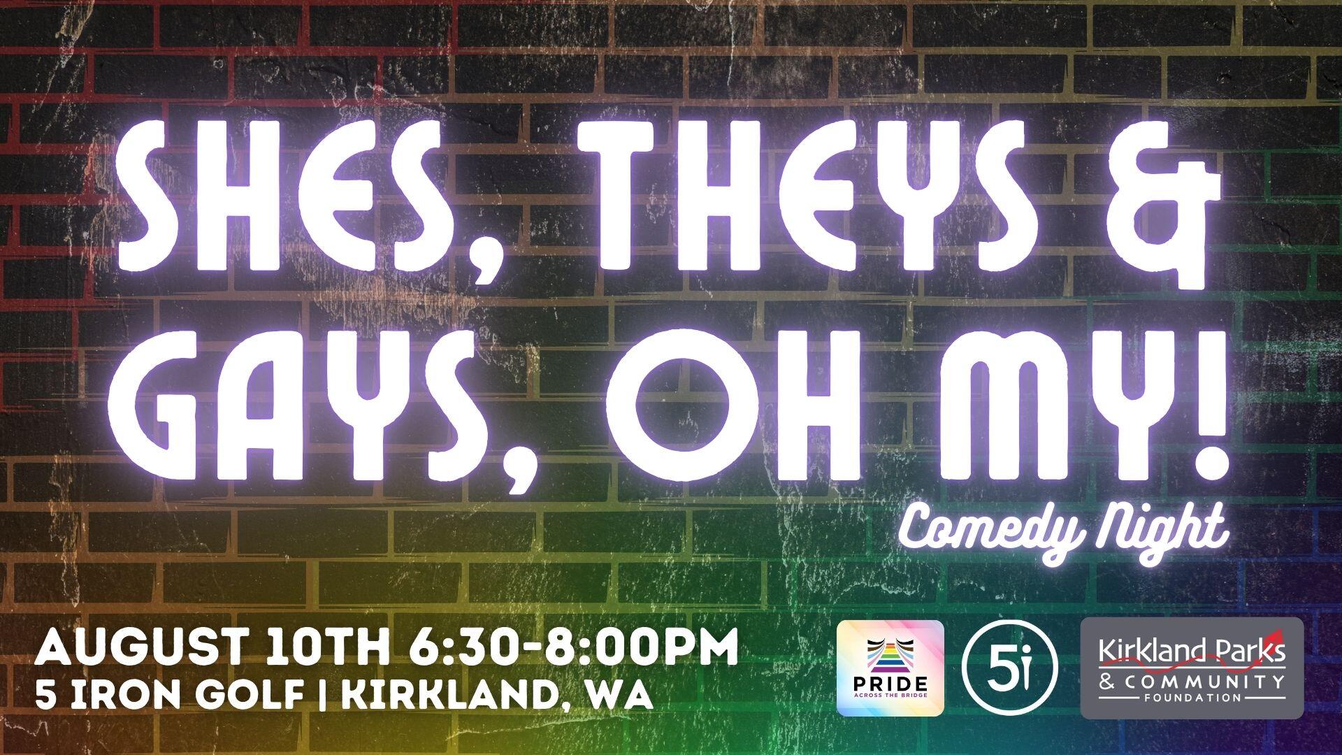 Campaign cover image for Shes, Theys, and Gays! Comedy Night