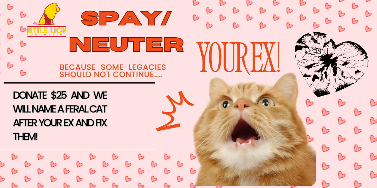 Campaign cover image for Spay or Neuter Your Ex
