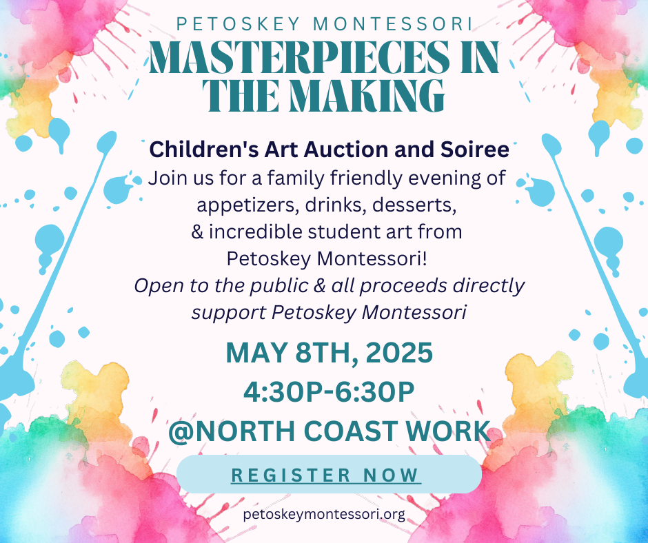 Campaign cover image for Masterpieces in the Making | Petoskey Montessori Art Show and Auction