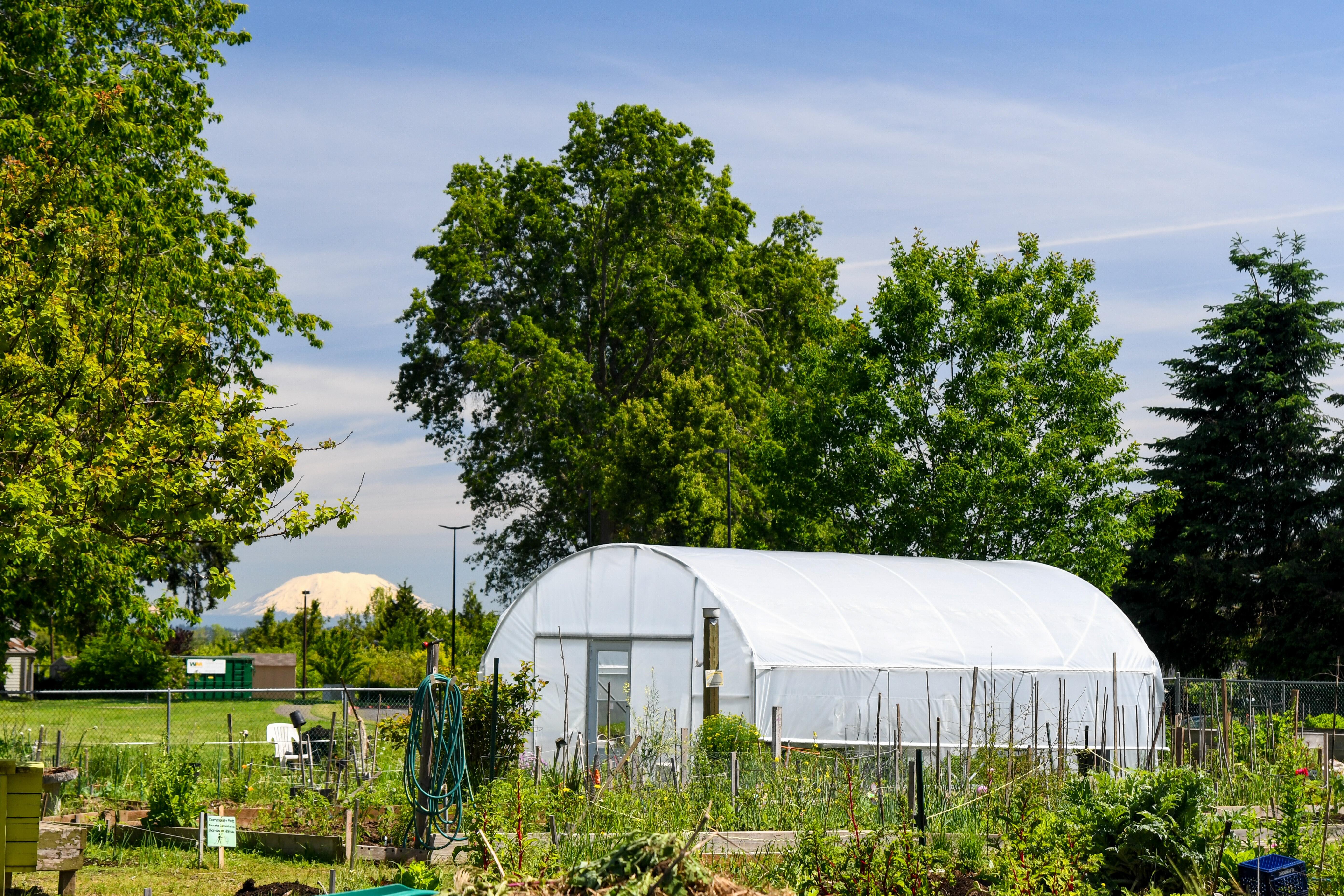 Campaign cover for Our Village Gardens