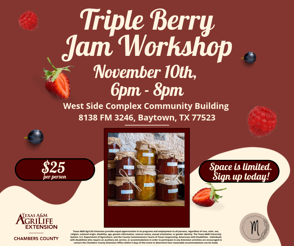 Campaign cover image for Triple Berry Jam Canning Workshop