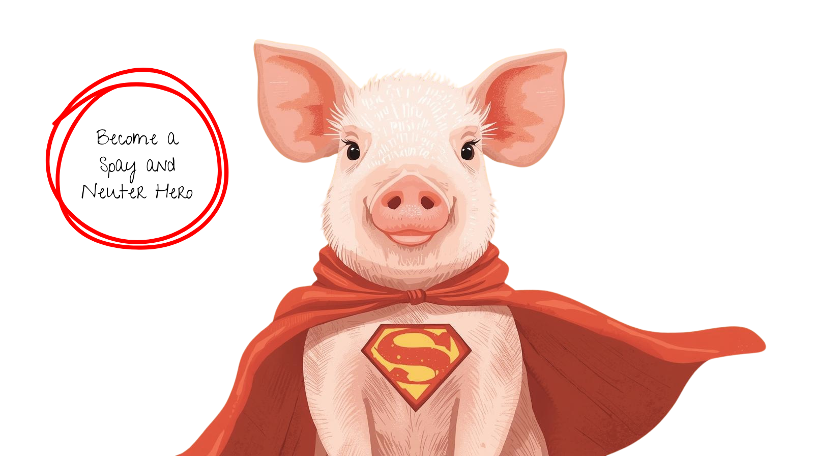 Campaign cover image for Become a Monthly Snout Hero: Spay & Neuter Sponsorship