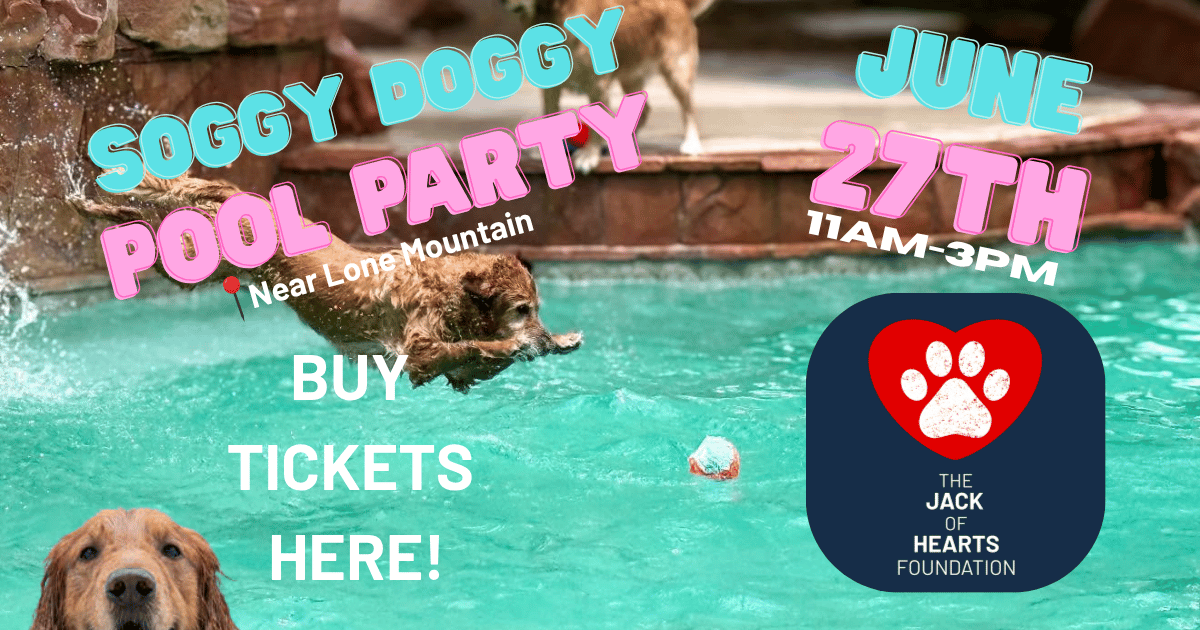Campaign cover image for Pool Party and Shenanigans Extravaganza # 3