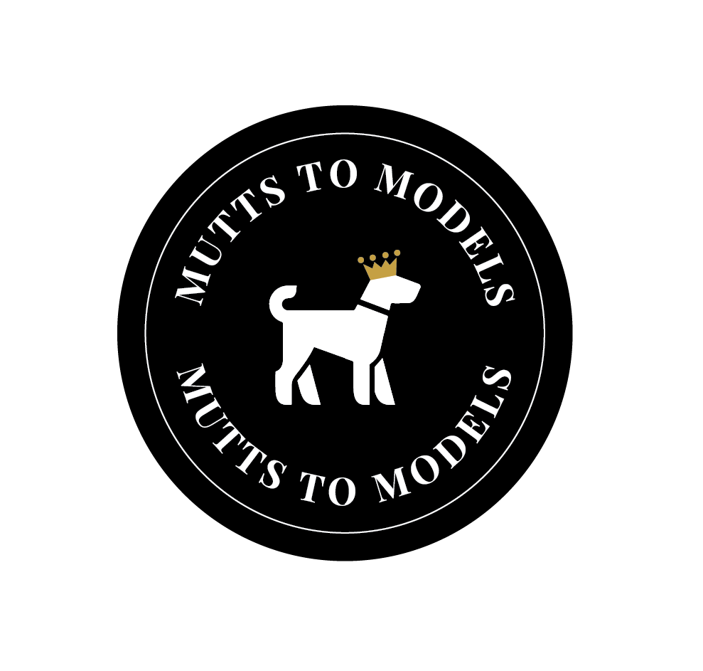 Campaign cover image for Mutts to Models 2025