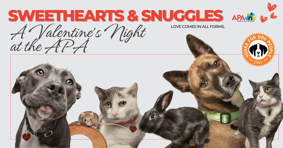 Campaign cover image for Sweethearts and Snuggles 2026