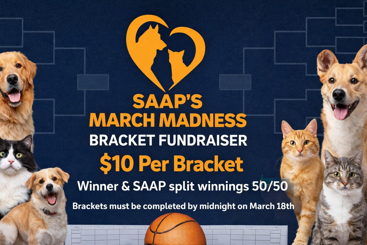 Campaign cover image for SAAP March Madness Fundrasier