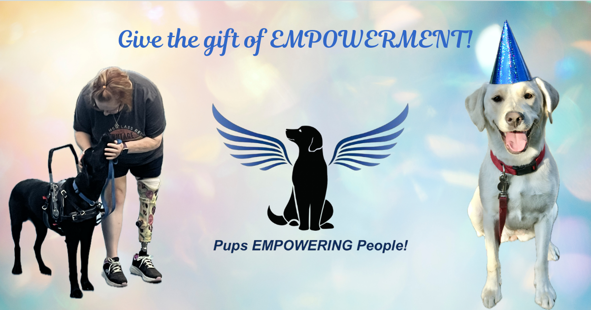 Campaign cover image for Celebrate Your Birthday with Freedom Canines!